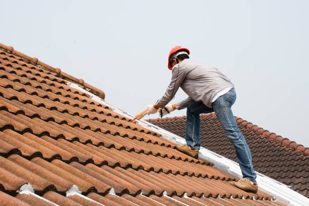 Best Roof Maintenance and Cleaning  in Rock Creek, AL