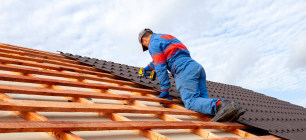 Best Storm Damage Roof Repair  in Rock Creek, AL